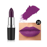 29 Colors Waterproof Various Tube Lipsticks